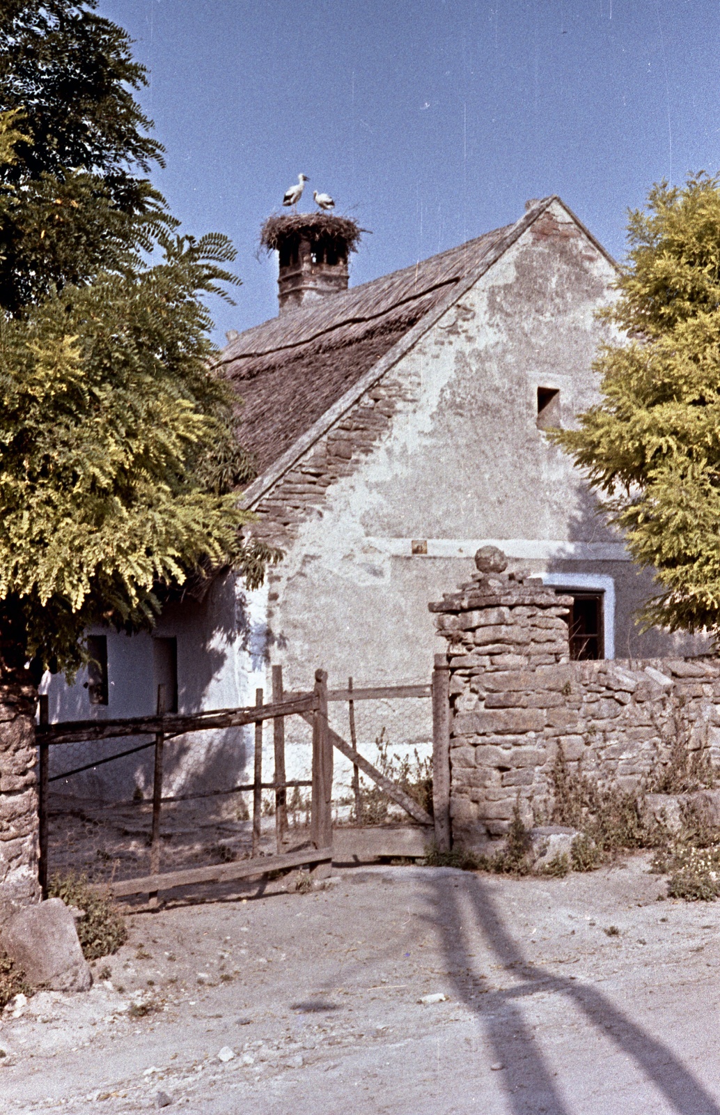 Magyarország,Balaton, Tihany, Csokonai utca 35., 1963, Herbály István, színes, Fortepan #58871