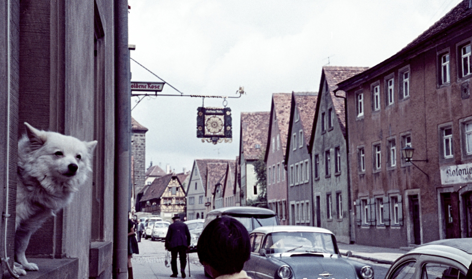 Germany, Rothenburg ob der Tauber, Spitalgasse, háttérben a Siebers-torony., 1966, Herbály István, colorful, leaning out of the window, dog, Fortepan #58934