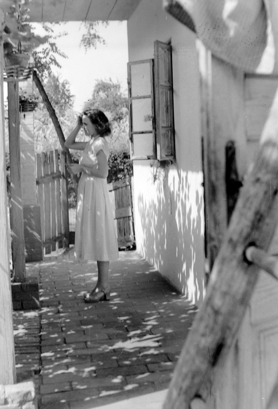 1960, Fortepan, portrait, ladder, Fortepan #5910