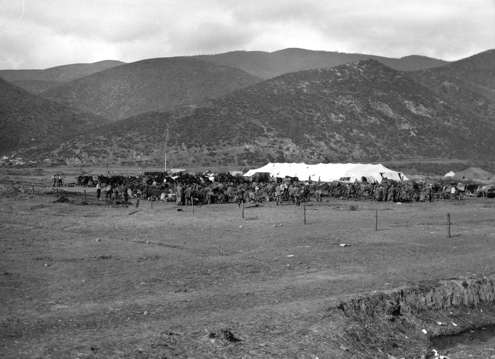 1915, Németh Tamás, Urai Dezső, First World War, horse, Horse-drawn carriage, tent, Fortepan #59150