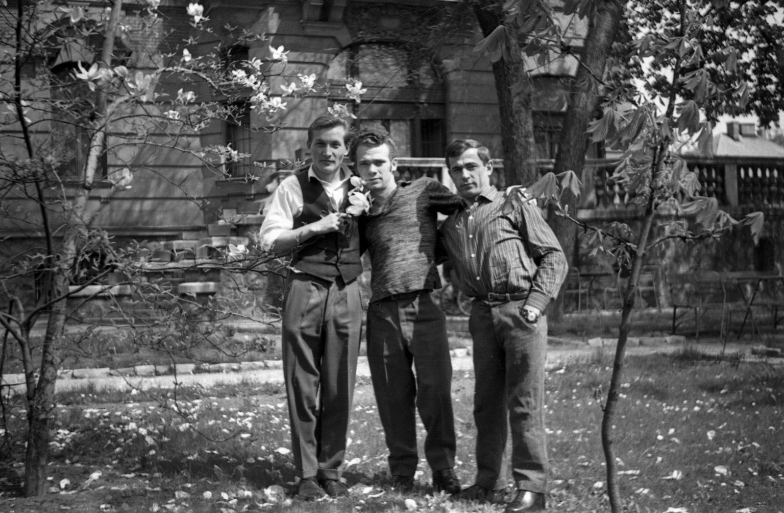 Hungary, Budapest XIV., Hermina (Május 1.) út 45. Állami Szociális Otthon (később Mozgássérült Emberek Rehabilitációs Központja)., 1967, Braun Antal, spring, blossoming, disabled, Budapest, Fortepan #59448
