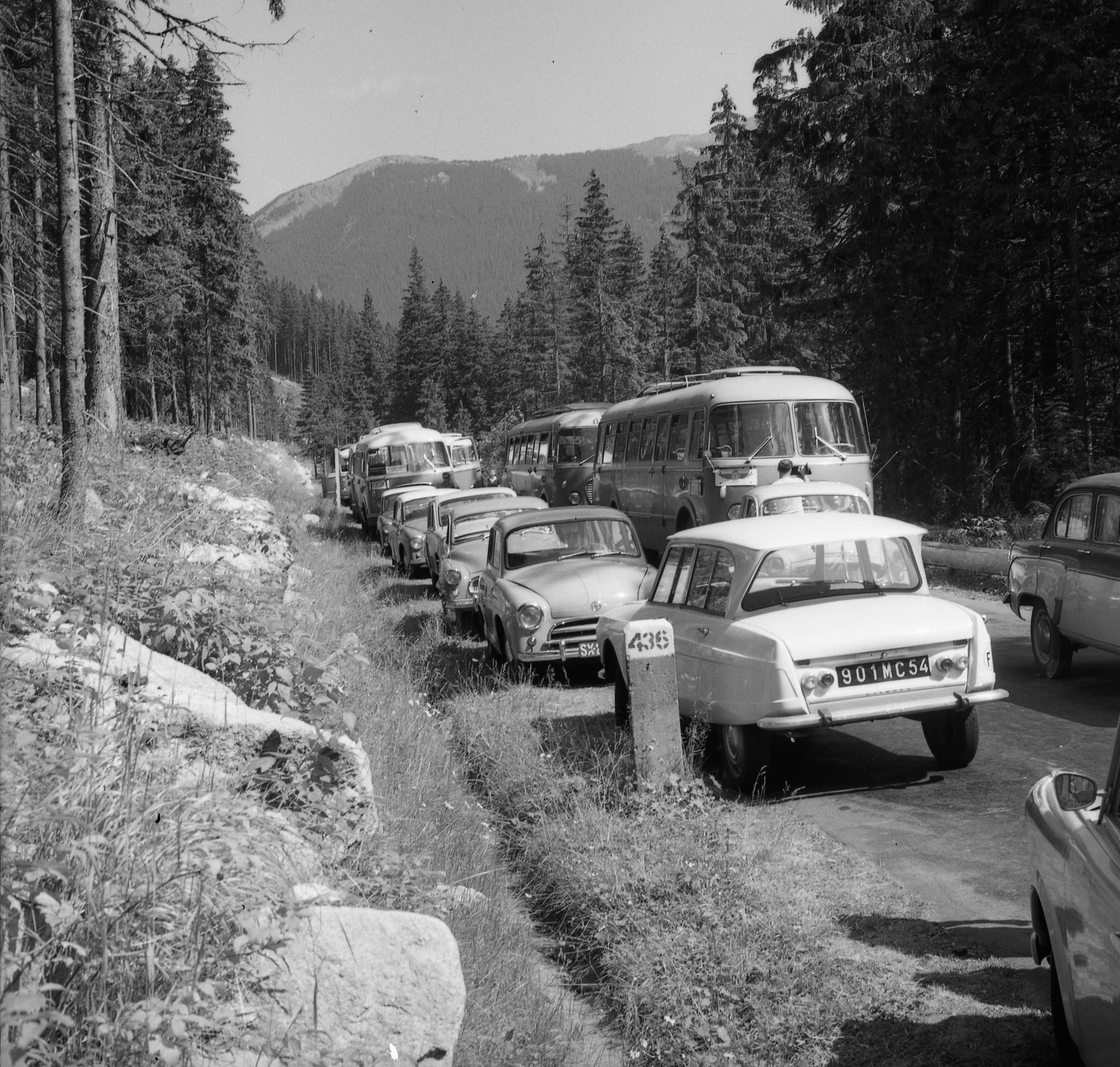 Poland,Tatry Wysokie, Tátra Nemzeti Park, a Morskie Oko (Halastó)-hoz vezető Droga Oswalda Balzera., 1965, Nagy Gyula, Czechoslovakia, woods, bus, Czechoslovak brand, Skoda-brand, automobile, FSO-brand, number plate, Tatra Mountains, country code sign, Fortepan #59845