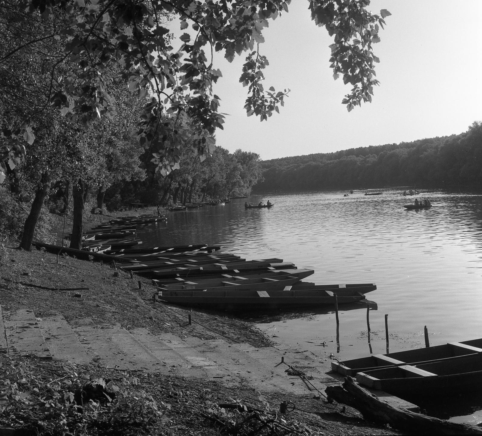 Hungary, Mártély, Tisza-part., 1975, Nagy Gyula, Fortepan #60093