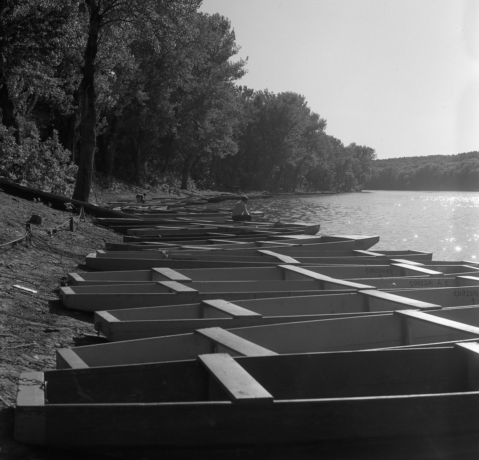 Hungary, Mártély, Tisza-part., 1975, Nagy Gyula, Fortepan #60097