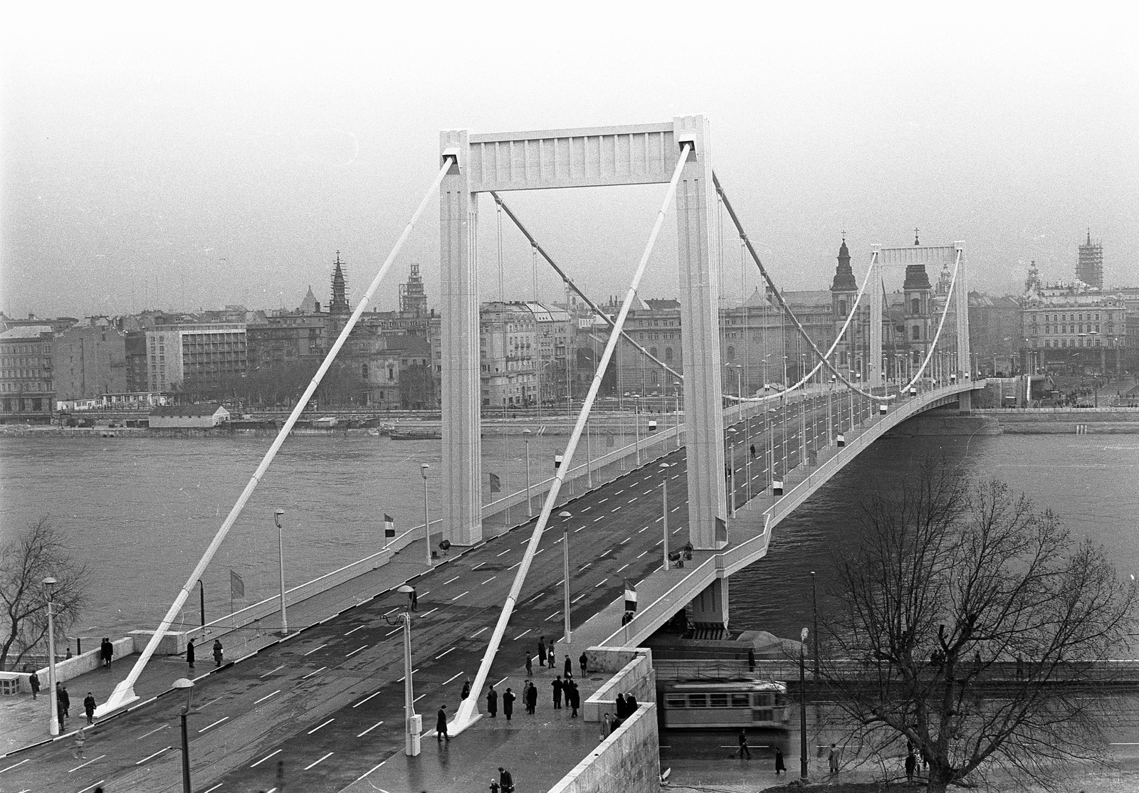 Magyarország, Budapest I., Erzsébet híd a Gellérthegyről nézve, a híd avatása előtt., 1964, Nagy Gyula, híd, hídépítés, Duna, Budapest, függőhíd, Sávoly Pál-terv, Fortepan #60098