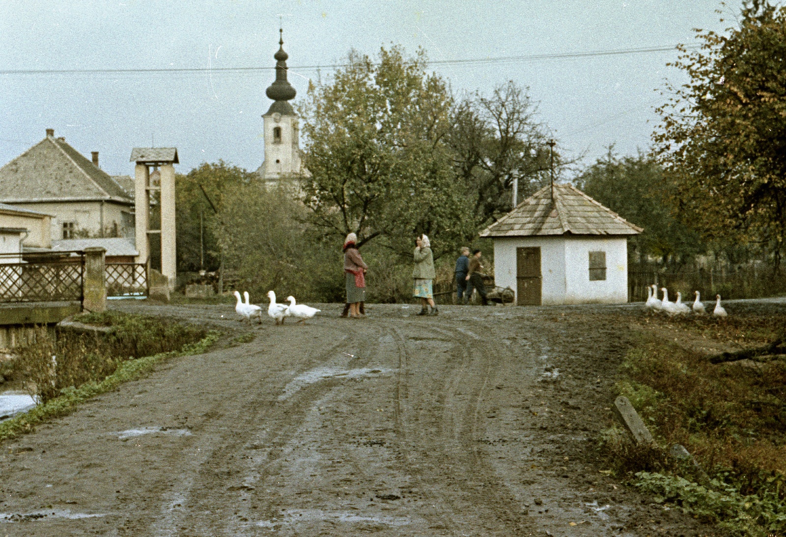 Szlovákia, Poltár, ulica Obrancov mieru a Poltarica-patak hídjánál, háttérben az evangélikus templom., 1959, Zsanda Zsolt, Vajszada Károly, Csehszlovákia, templom, színes, liba, Fortepan #60233