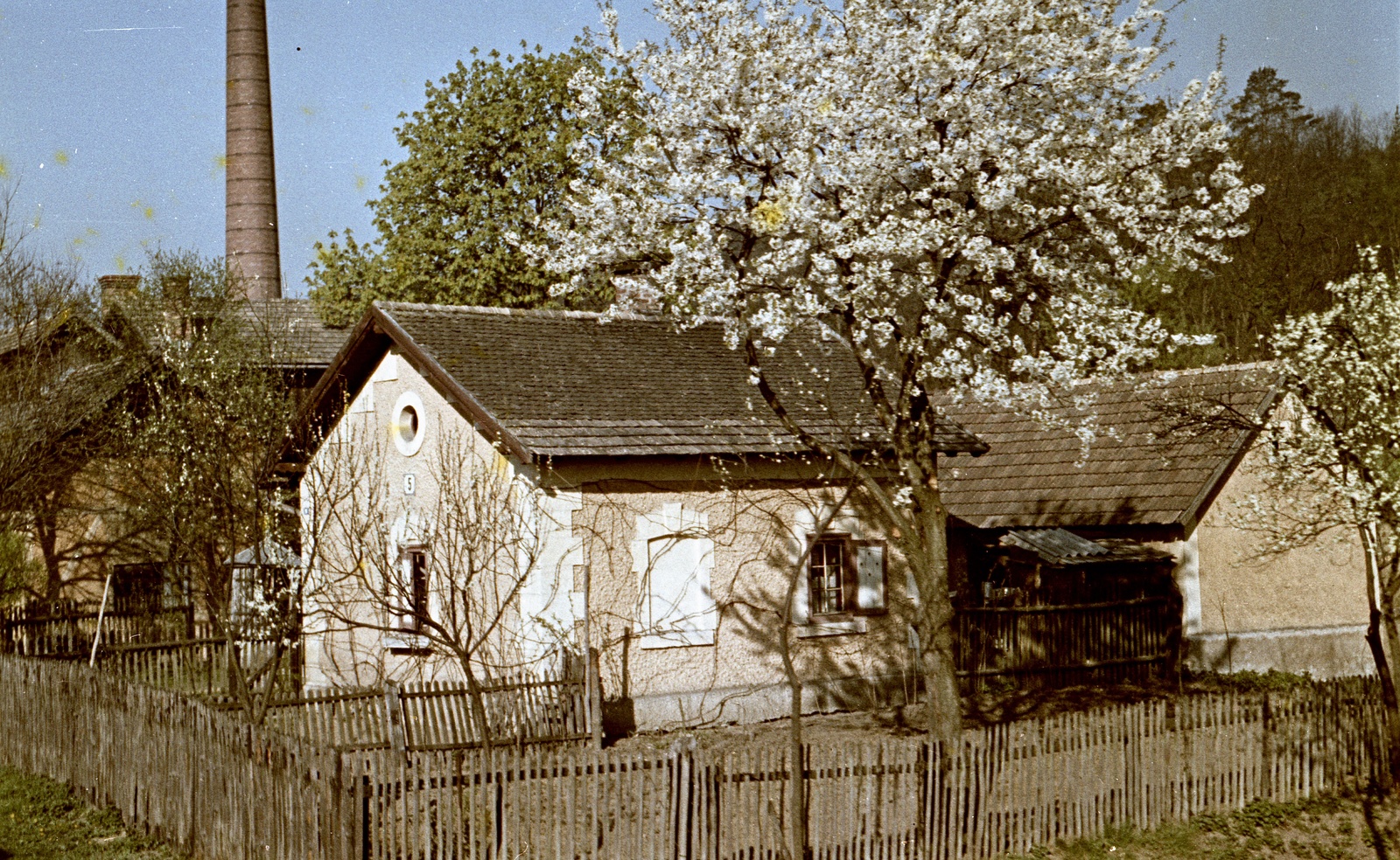 1959, Zsanda Zsolt, Vajszada Károly, színes, kémény, léckerítés, cseresznye, Fortepan #60238