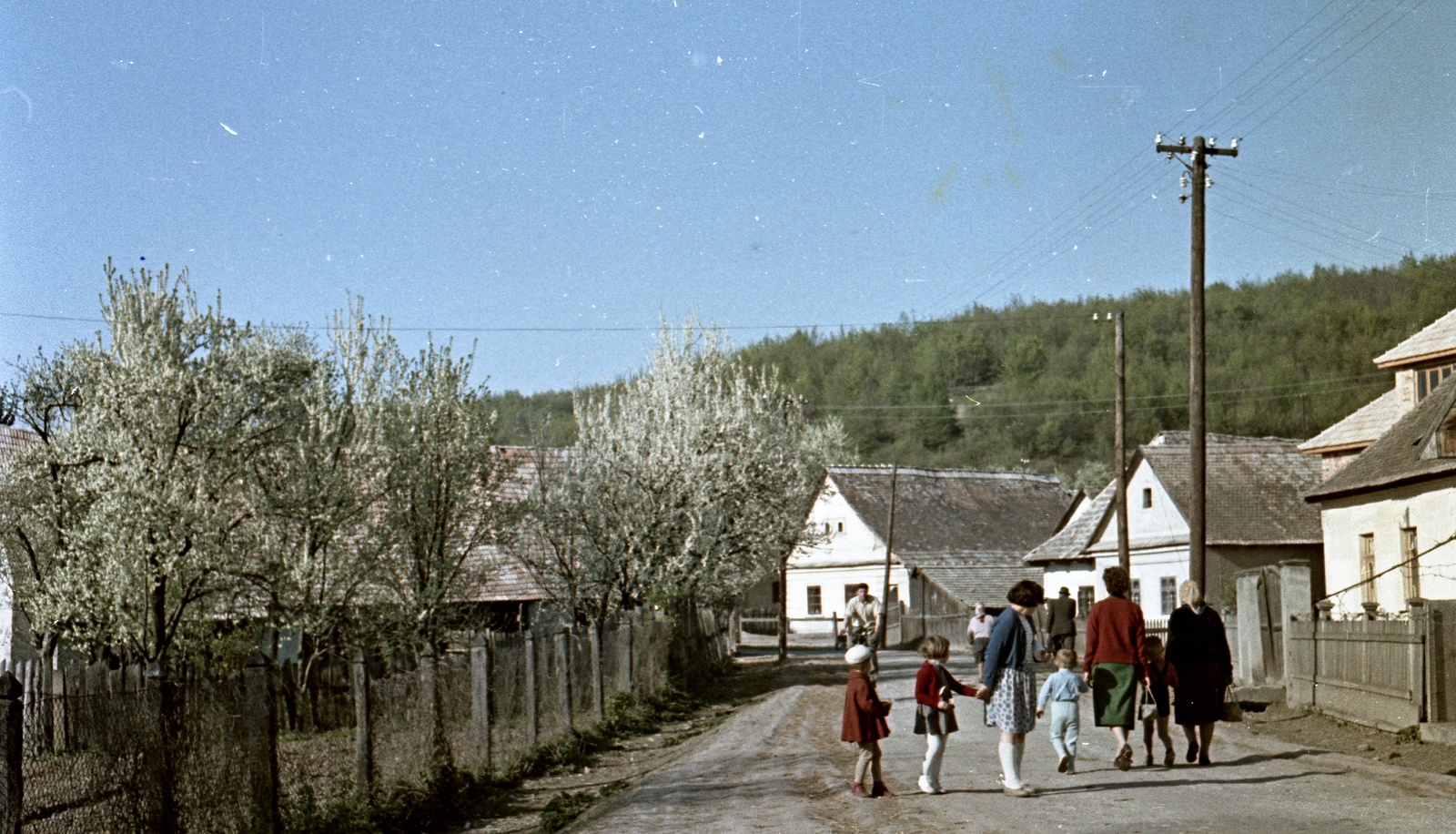 Slovakia, Poltár, ulica Obrancov mieru., 1959, Zsanda Zsolt, Vajszada Károly, Czechoslovakia, colorful, walk, spring, blossoming, Fortepan #60243