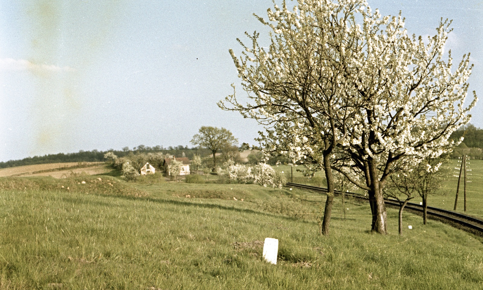 Slovakia, Poltár, Losonc-Utekáč (Újantalvölgy) vasútvonal szakasza a város előtt., 1960, Zsanda Zsolt, Vajszada Károly, Czechoslovakia, colorful, spring, blossoming, Fortepan #60246