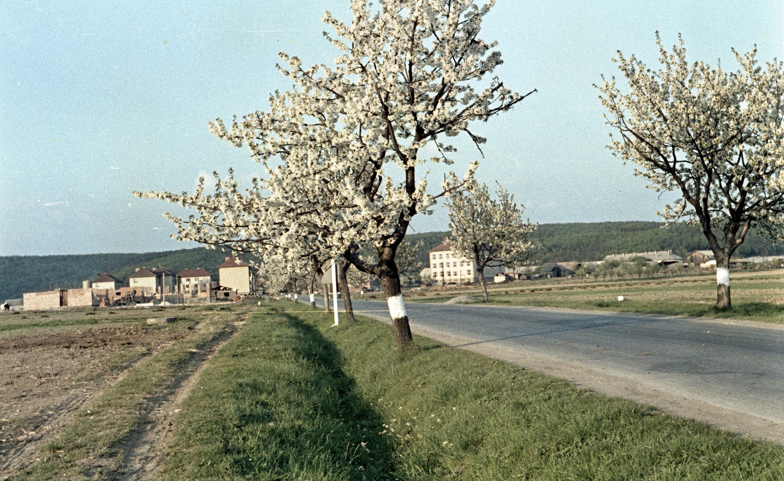 Szlovákia, Poltár, ulica Slobody., 1960, Zsanda Zsolt, Vajszada Károly, Csehszlovákia, színes, tavasz, rügyfakadás, Fortepan #60249