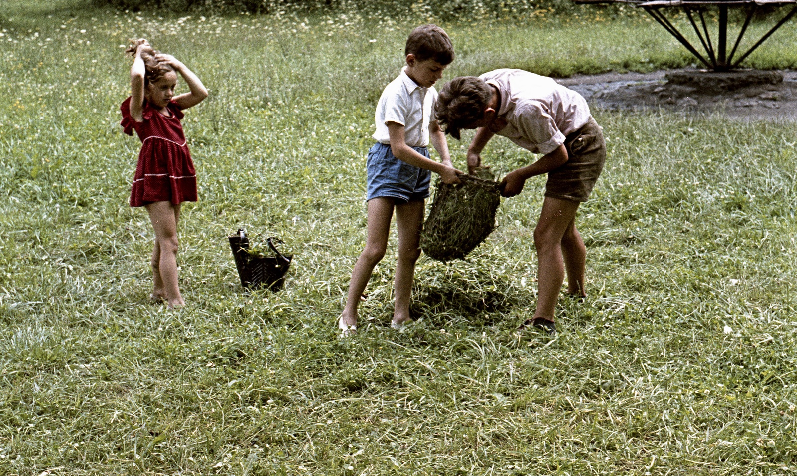 1961, Zsanda Zsolt, Vajszada Károly, colorful, Fortepan #60278