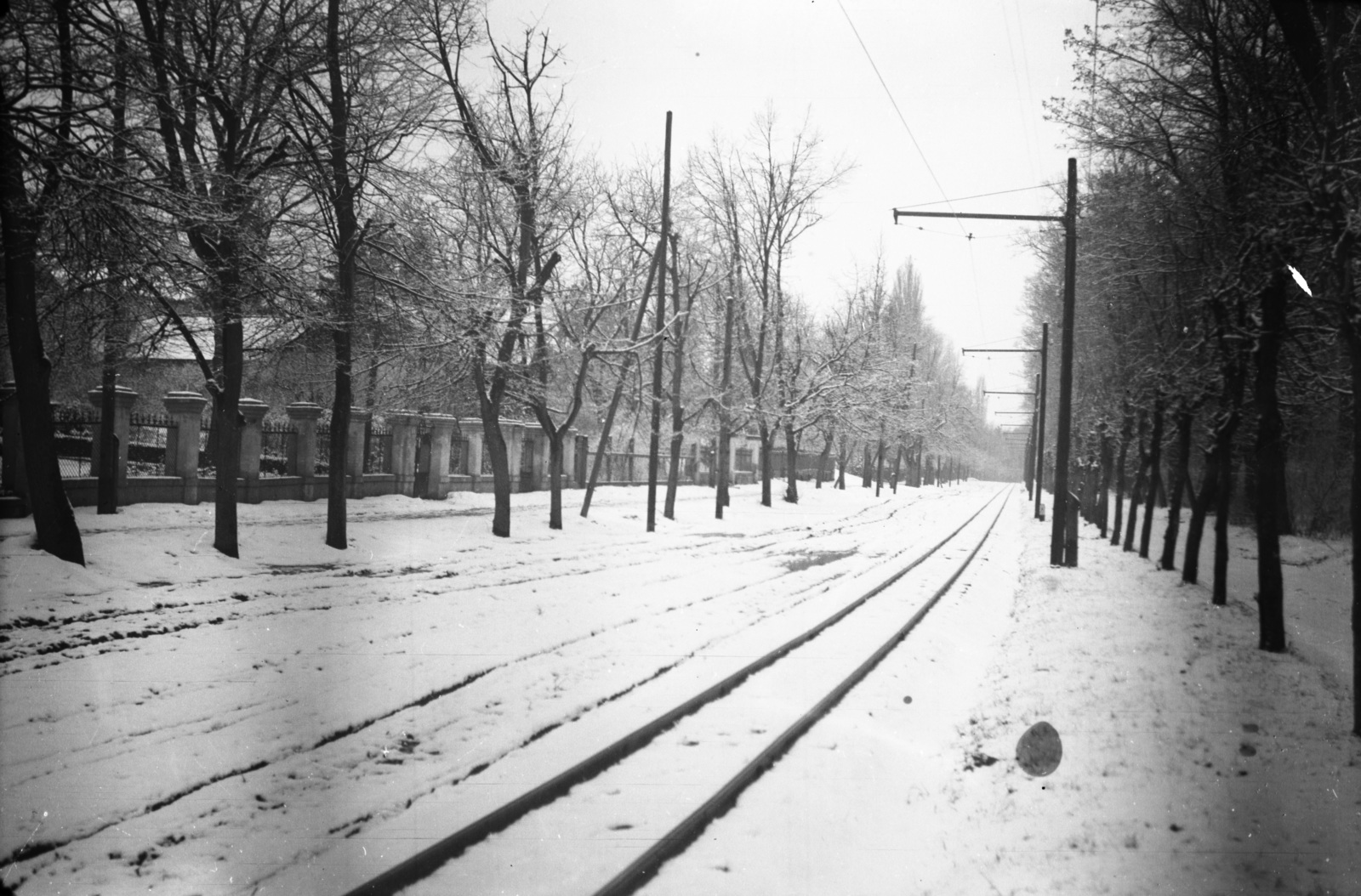 Hungary, Nyíregyháza, Sóstói út, az NyVKV (Nyíregyházavidéki Kisvasutak) villamos vágánya., 1942, Zsanda Zsolt, Fortepan #60384