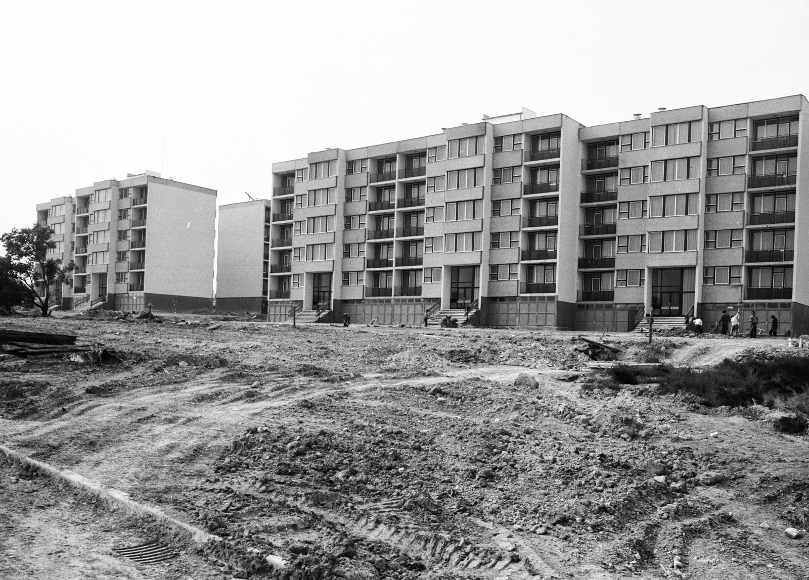 Hungary, Szentendre, Szelesdomb, Püspökmajori (Felszabadulás) lakótelep építése., 1975, Gárdos György, blocks, Fortepan #60503