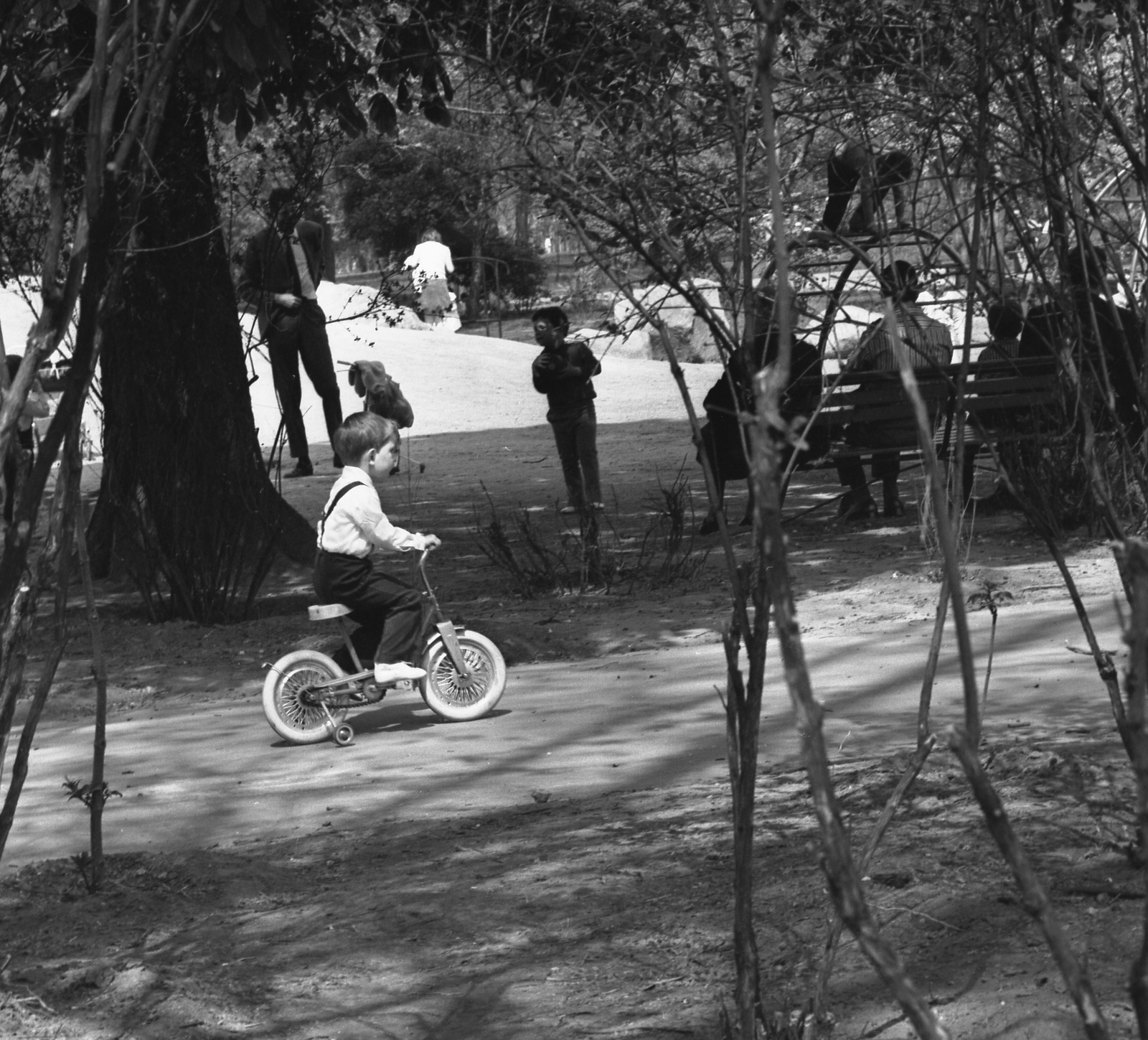 1977, Gárdos György, bicycle, kid, kid's bicycle, Fortepan #60562