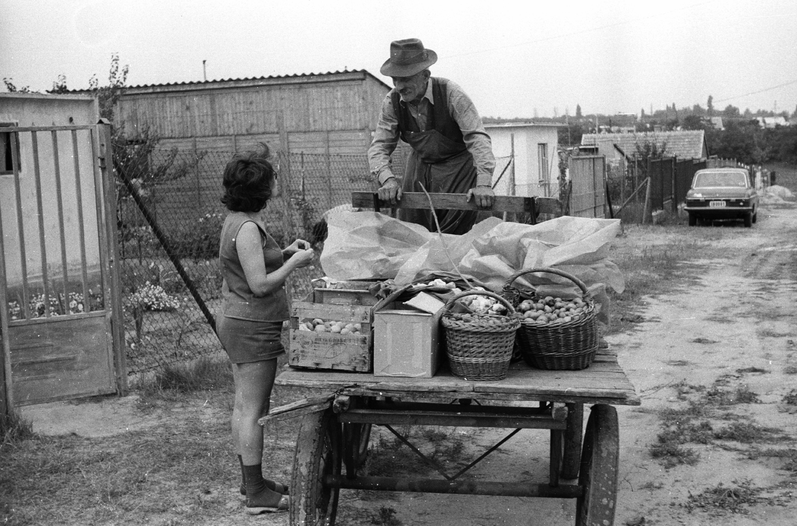 1975, Krantz Károly, hat, Horse-drawn carriage, genre painting, moustache, closed garden, fruit seller, Fortepan #60647