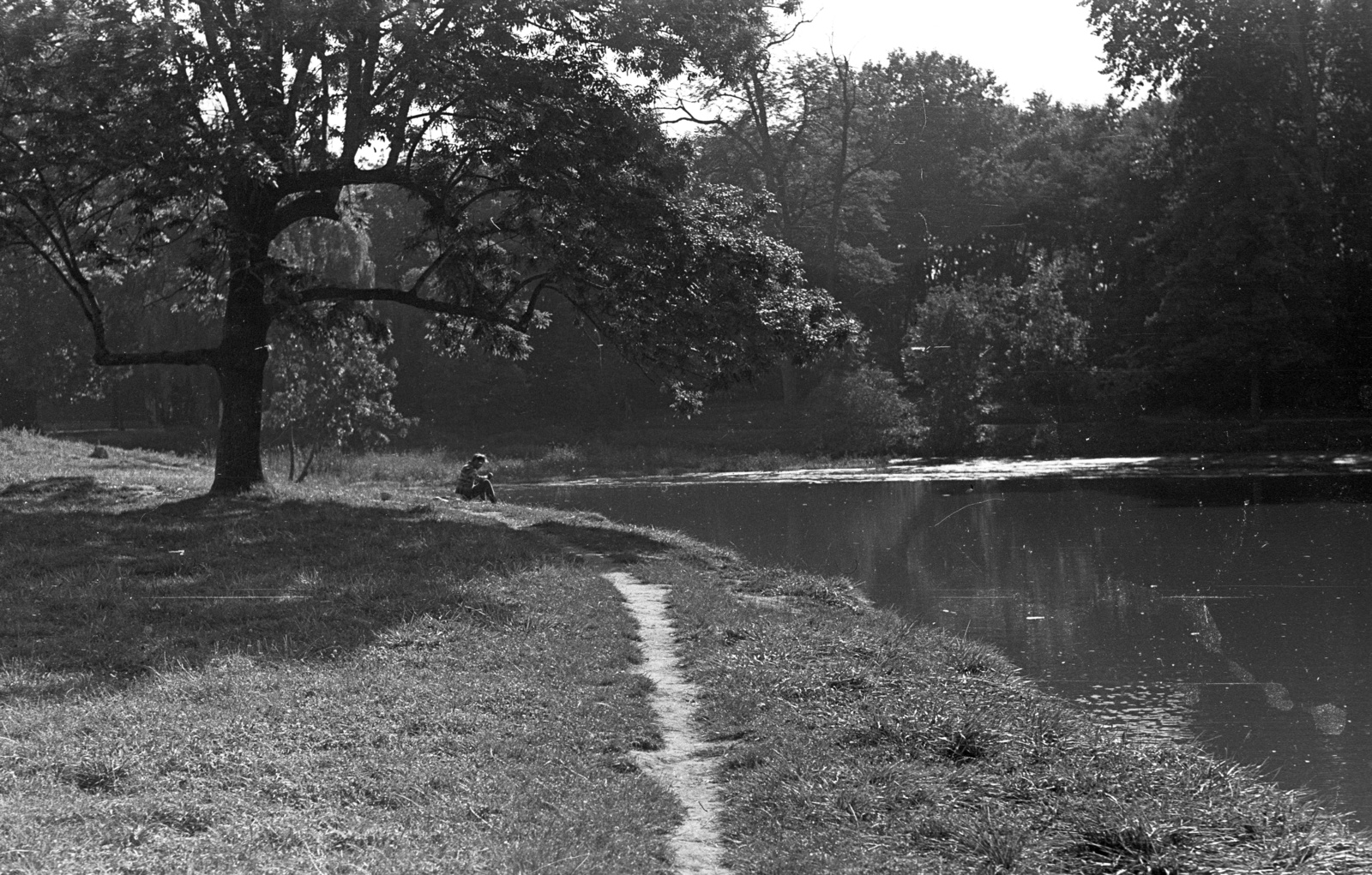 Hungary, Vácrátót, Botanikus Kert, Nagy-tó., 1961, Lencse Zoltán, solitude, water surface, man, shore, Fortepan #60929