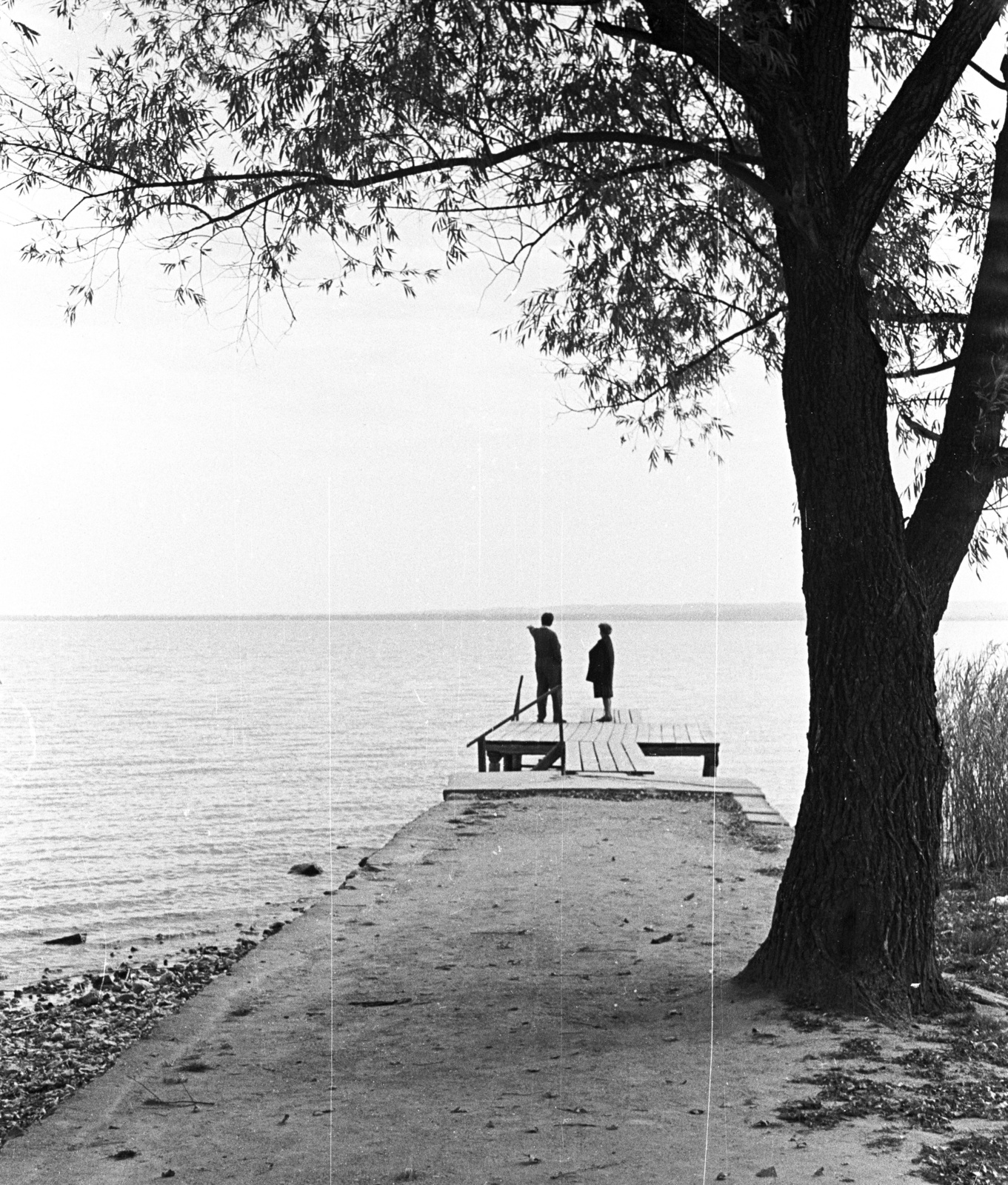 Hungary,Lake Balaton, 1961, Lencse Zoltán, lake, water surface, pier, man, woman, shore, reed, pier, Fortepan #60932