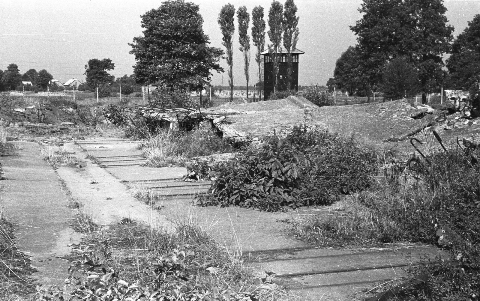 Poland, Oświęcim, az auschwitz–birkenaui koncentrációs tábor., 1967, Lencse Zoltán, concentration camp, Fortepan #60950