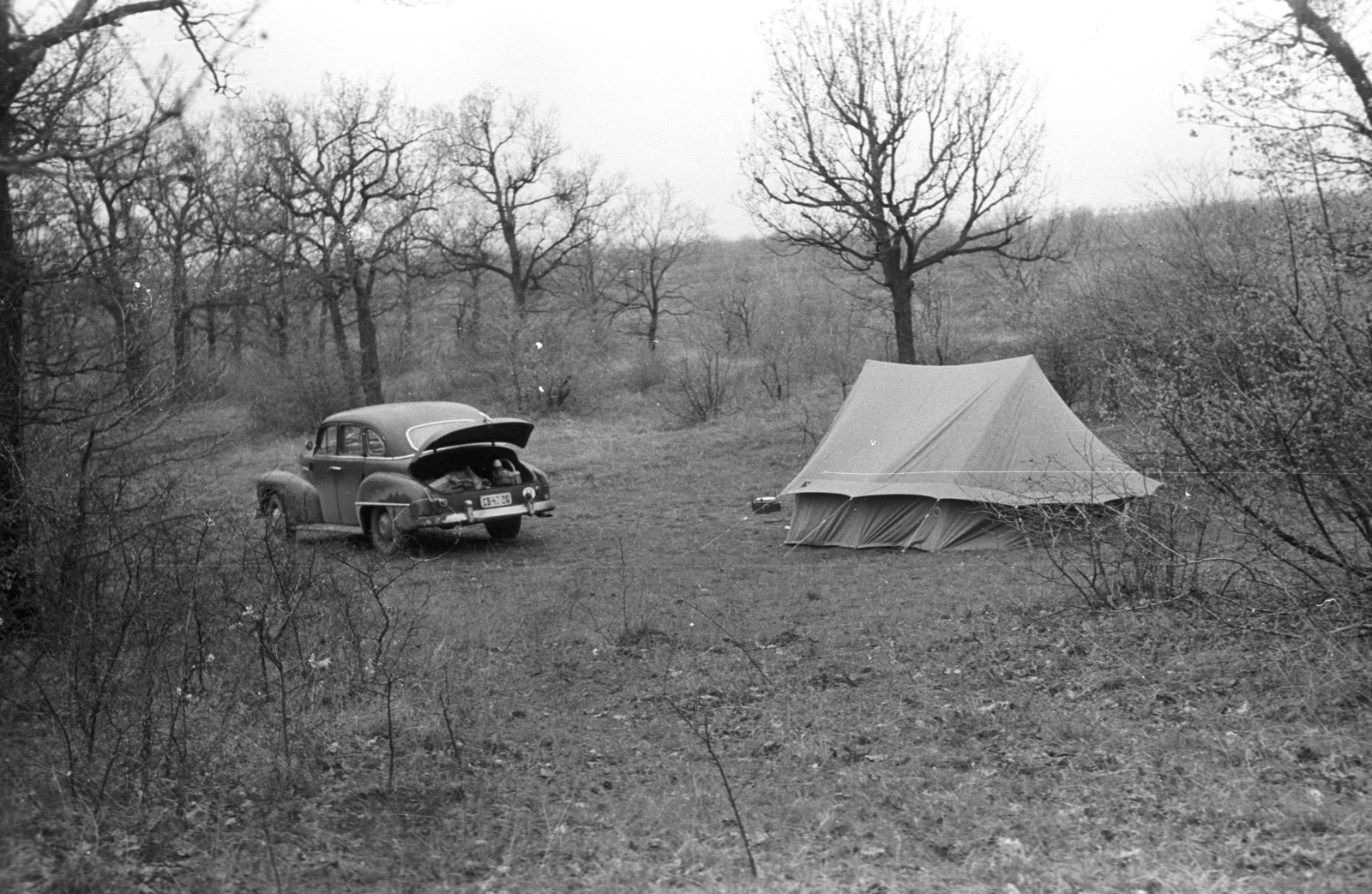 1965, Lencse Zoltán, Gerrman brand, Opel-brand, automobile, Fortepan #60970