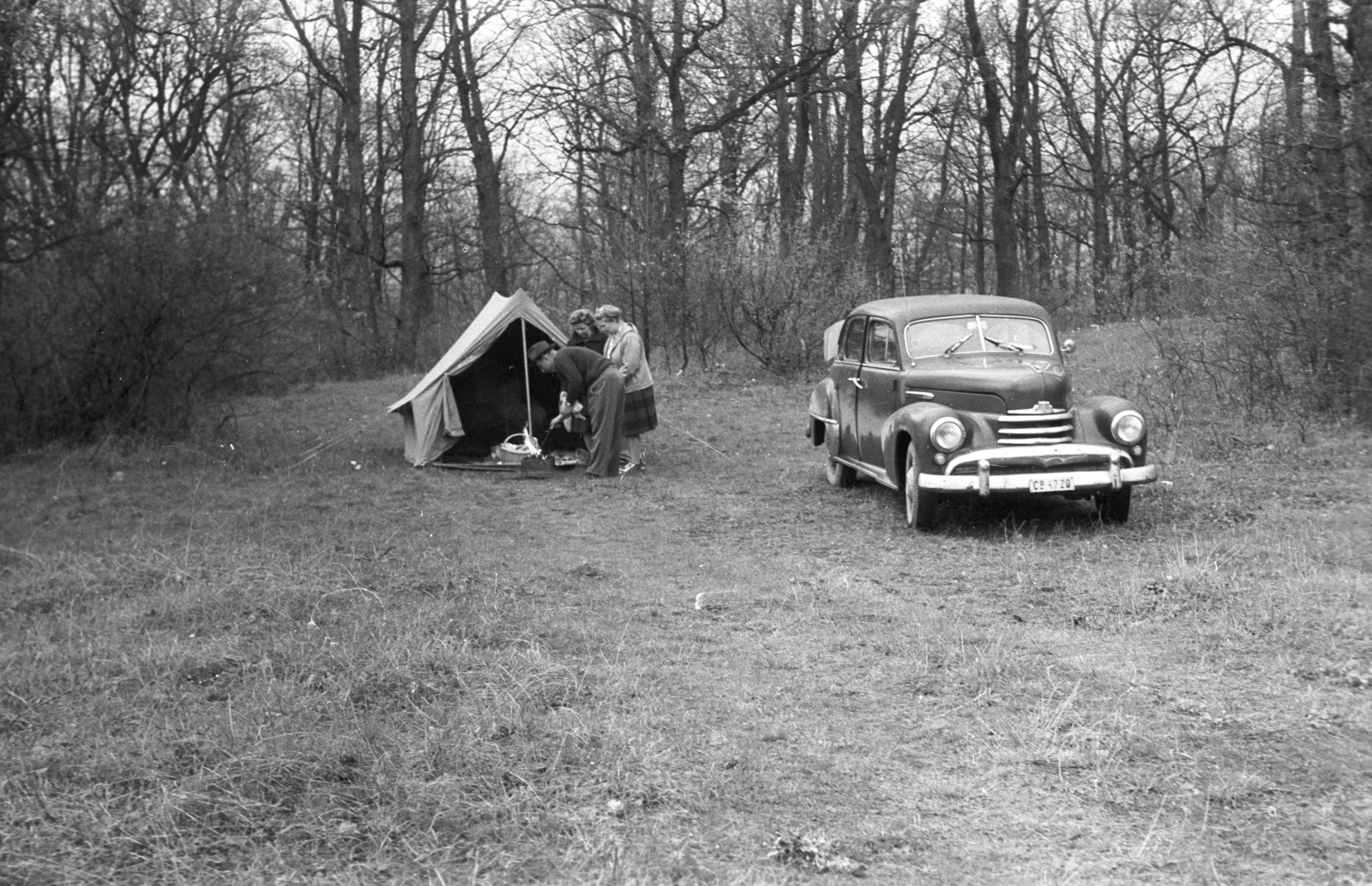 1965, Lencse Zoltán, woods, German brand, Opel-brand, tent, automobile, Fortepan #60974