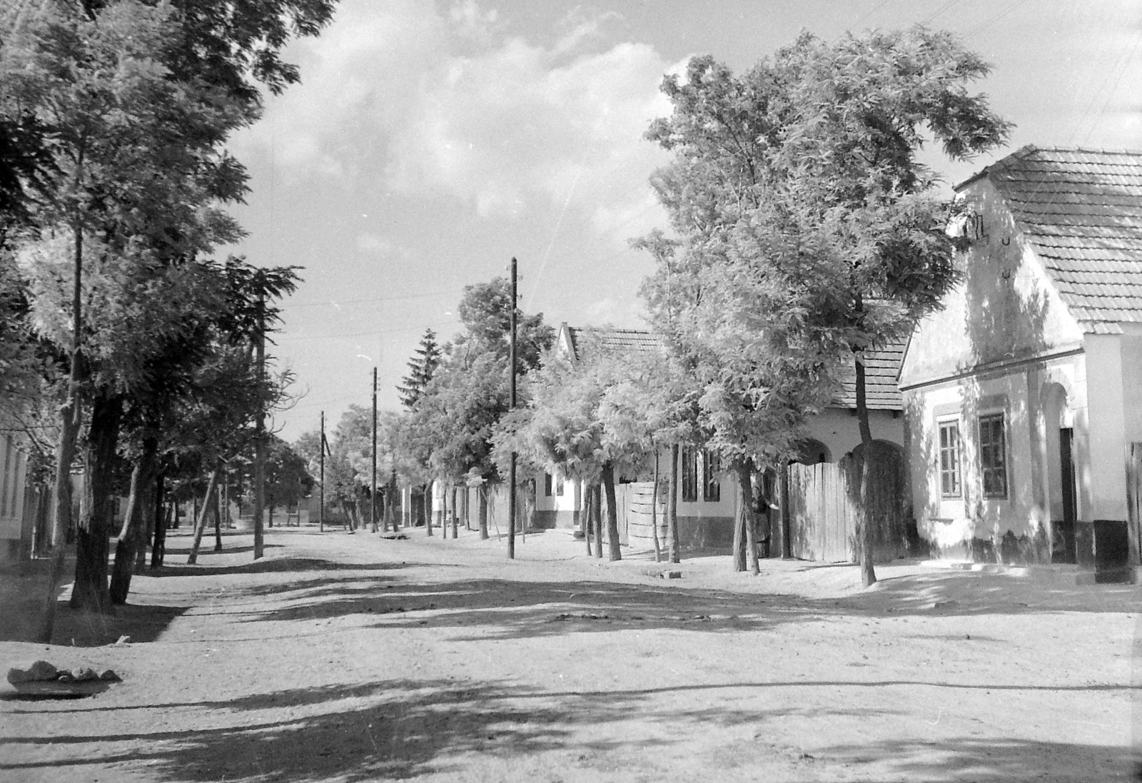 Hungary, Szigetköz., 1943, Fortepan, village, street view, Fortepan #6098