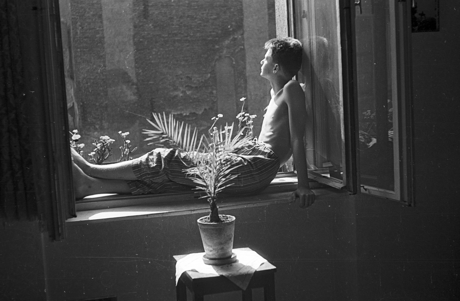 1962, Lencse Zoltán, sunbathe, firewall, nightgown, indoor plants, sitting on a windowsill, Fortepan #61193