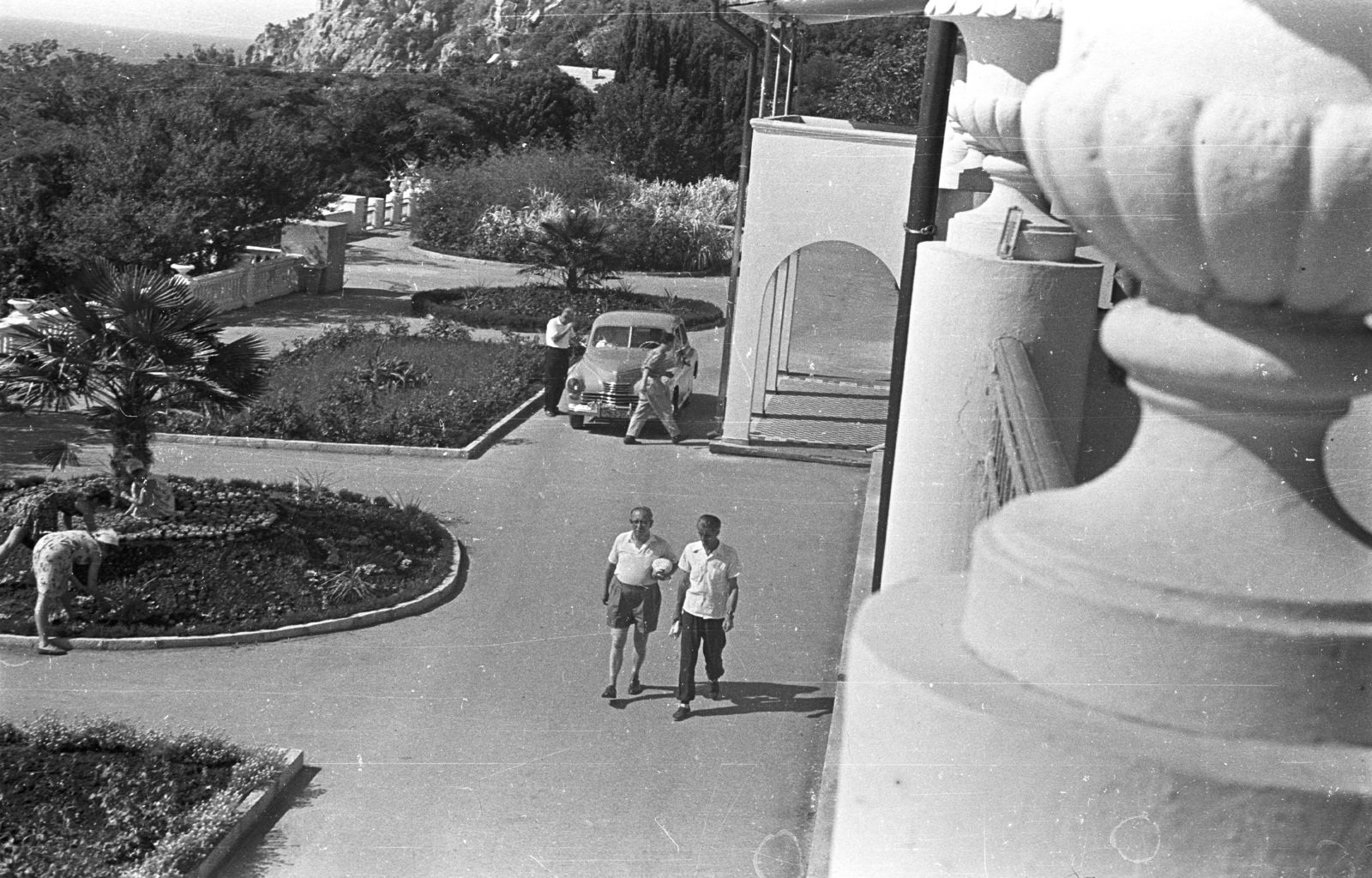 Ukrajna,Krim félsziget, Kurpati, Kurpati Szanatórium., 1962, Lencse Zoltán, Szovjetunió, üdülőhely, pálmafa, automobil, GAZ M20 Pobeda, Fortepan #61211