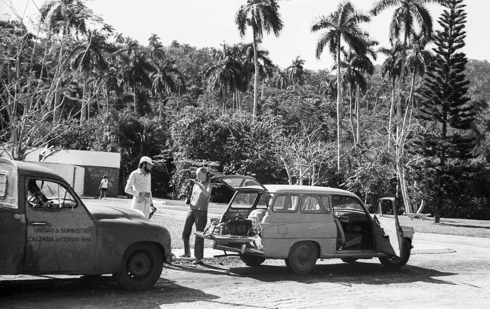 Cuba, Pinar del Rio tartomány, Soroa Természetvédelmi terület., 1974, Mészáros Zoltán, Czechoslovak brand, Skoda-brand, palm tree, automobile, Fortepan #61480