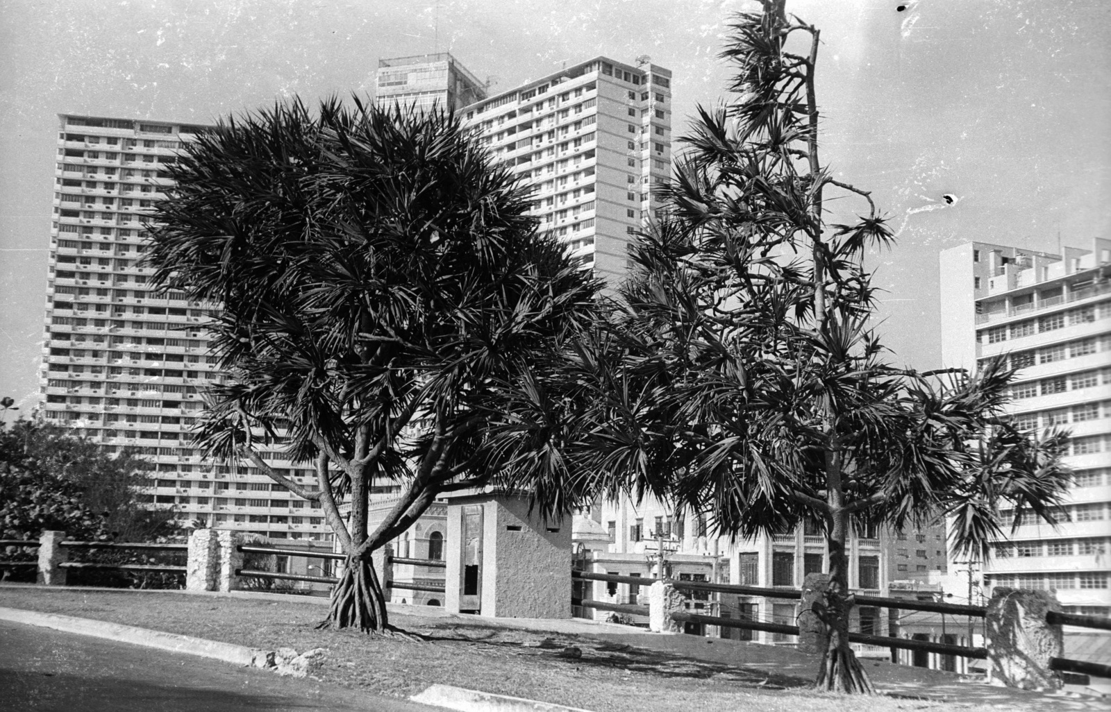 Cuba, Havana, a FOCSA épület a Malecón felől nézve., 1974, Mészáros Zoltán, high-rise building, modern architecture, Fortepan #61481