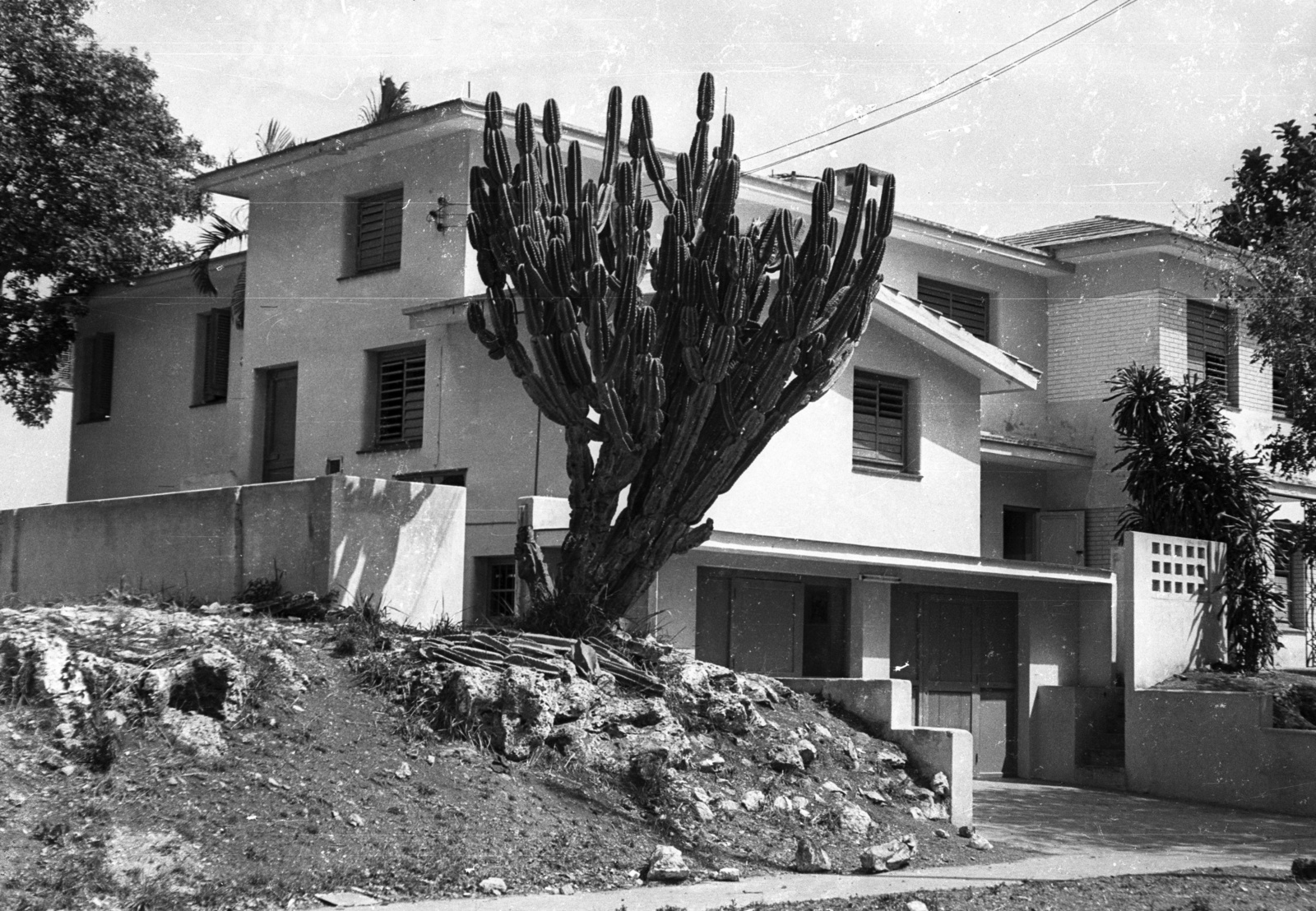 Cuba, a tulajdonos kitelepítése után üresen álló villa., 1974, Mészáros Zoltán, cactus, venetian blind, Fortepan #61544