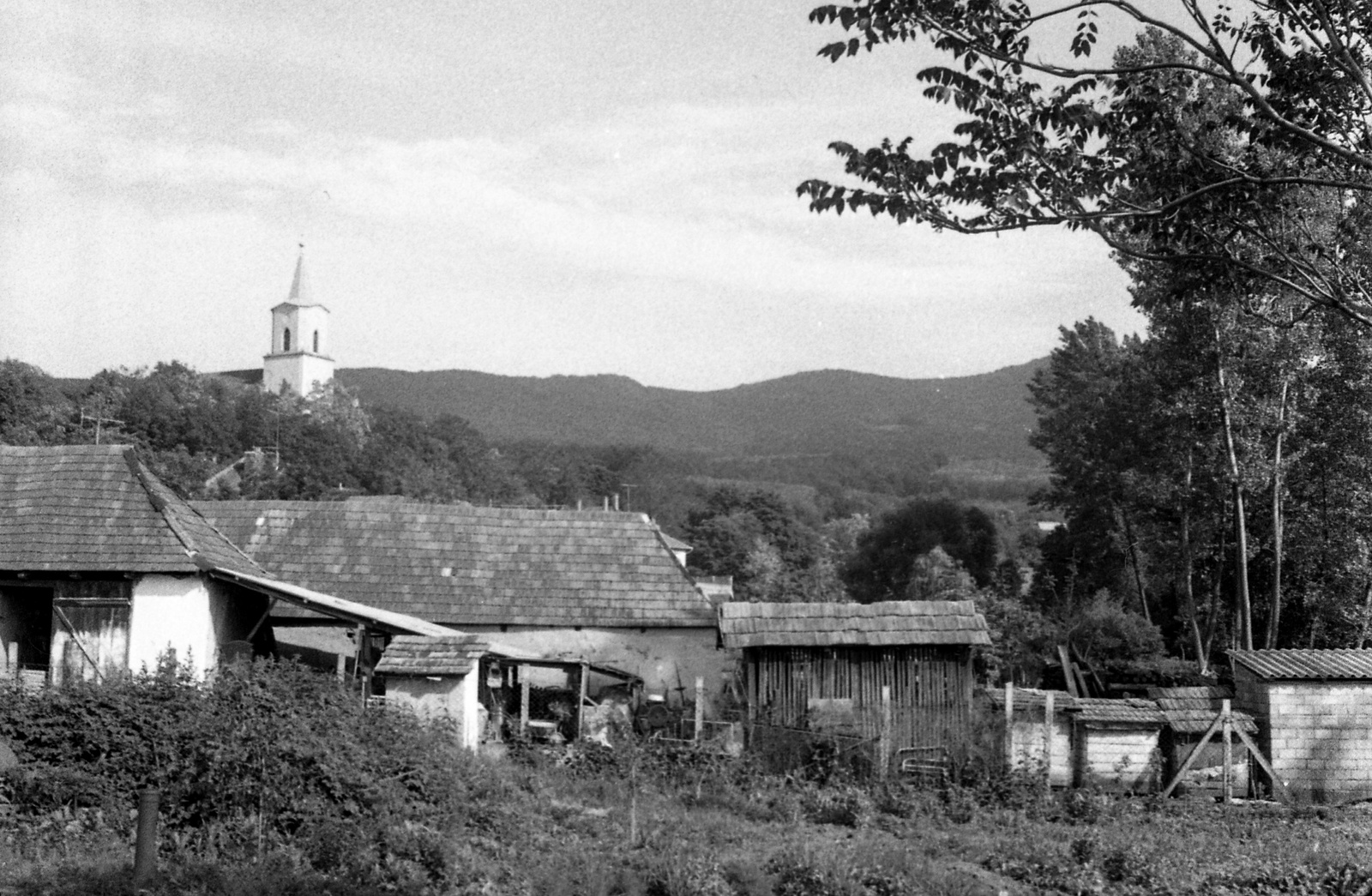 Hungary, Perőcsény, háttérben a református templom tornya., 1988, Hodosán Róza, village, church, picture, hillside, stable, hutch, barn for storing maize, farm, Fortepan #61594