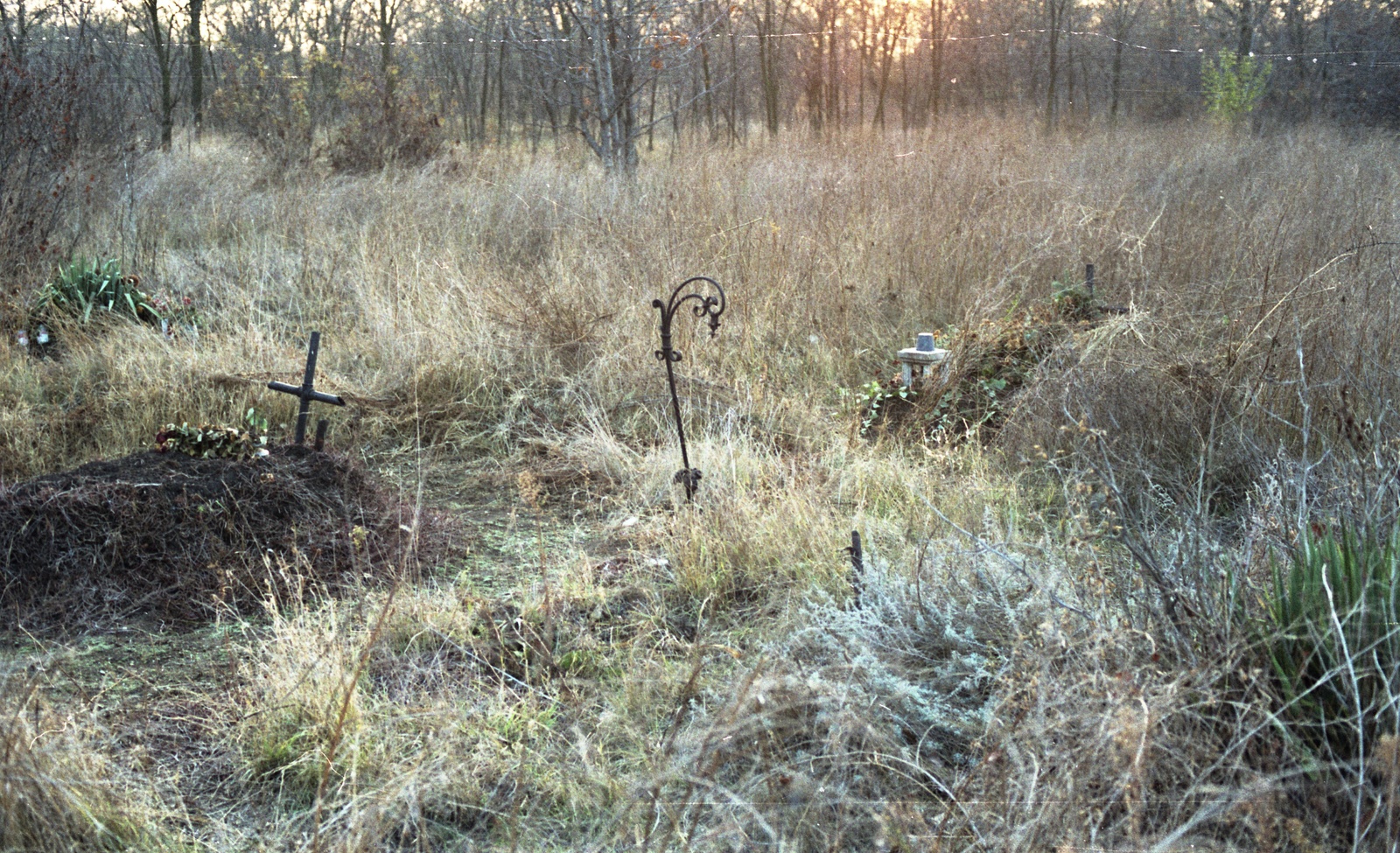 Hungary, Budapest X., Új Köztemető, 301-es parcella., 1988, Hodosán Róza, colorful, cemetery, grave, Budapest, Effects of the 1956 Revolution, regime change, Fortepan #61598