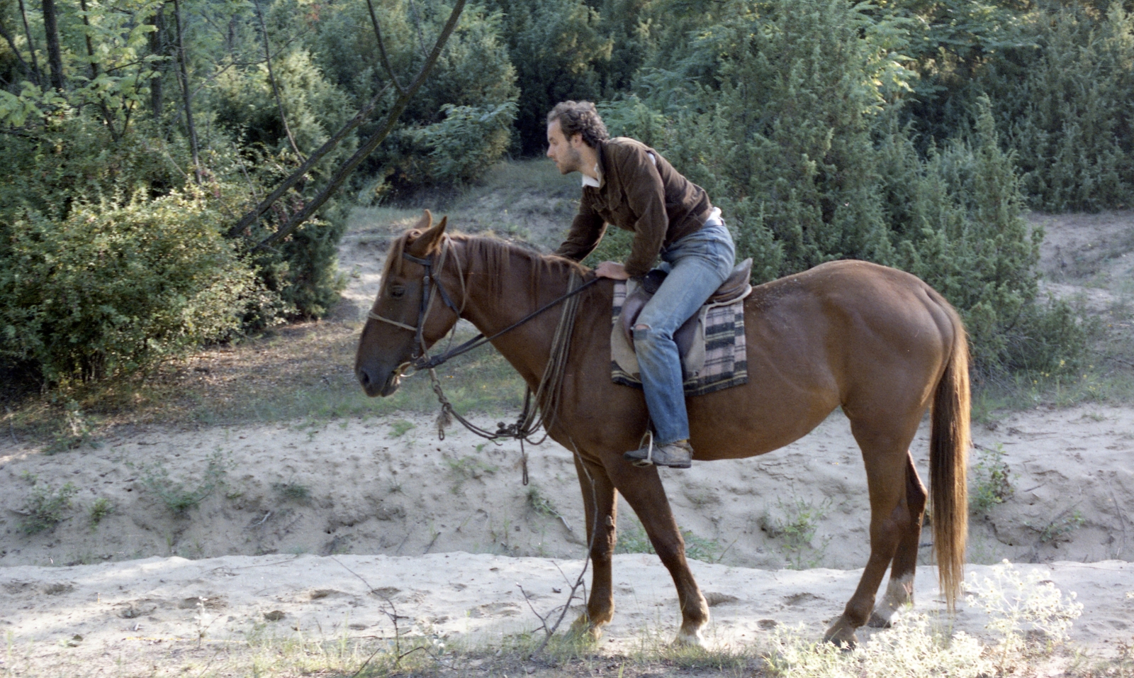 1987, Hodosán Róza, woods, colorful, horse, shore, man, rider, animal, sand, pit, curly, Fortepan #61625