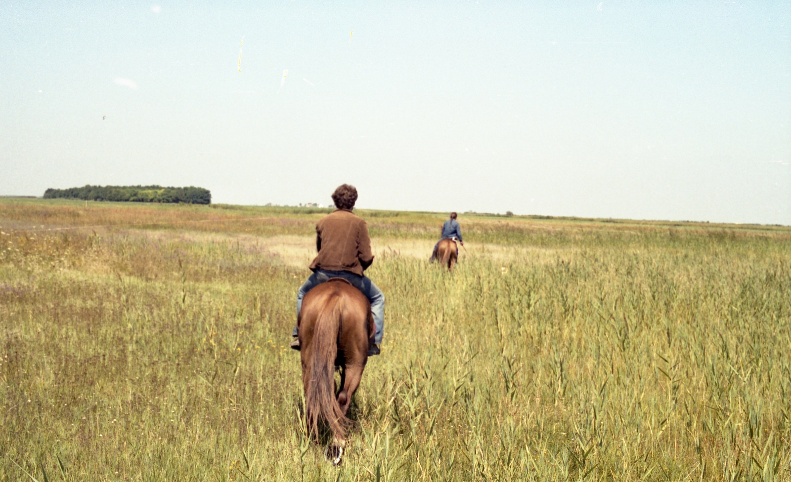 1987, Hodosán Róza, colorful, horse, field, summer, man, woman, rider, animal, Fortepan #61627