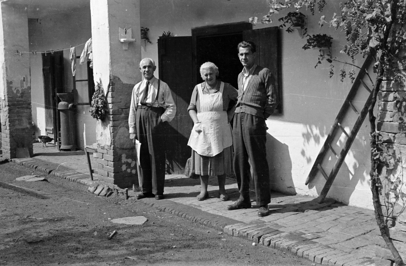 1955, Lipovits Károly, ladder, porch, bower, family, three people, Fortepan #61733