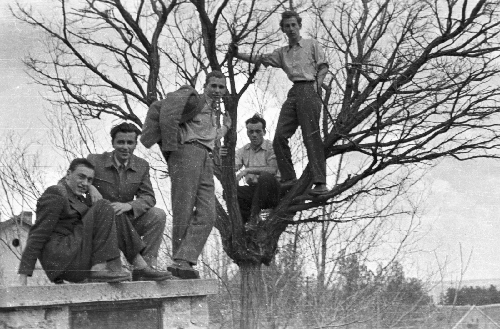 Magyarország, Pécs, a Pedagógiai Főiskola (később Pécsi Tudományegyetem) kertje., 1959, Lipovits Károly, férfiak, fa, fán ülni, Fortepan #61767