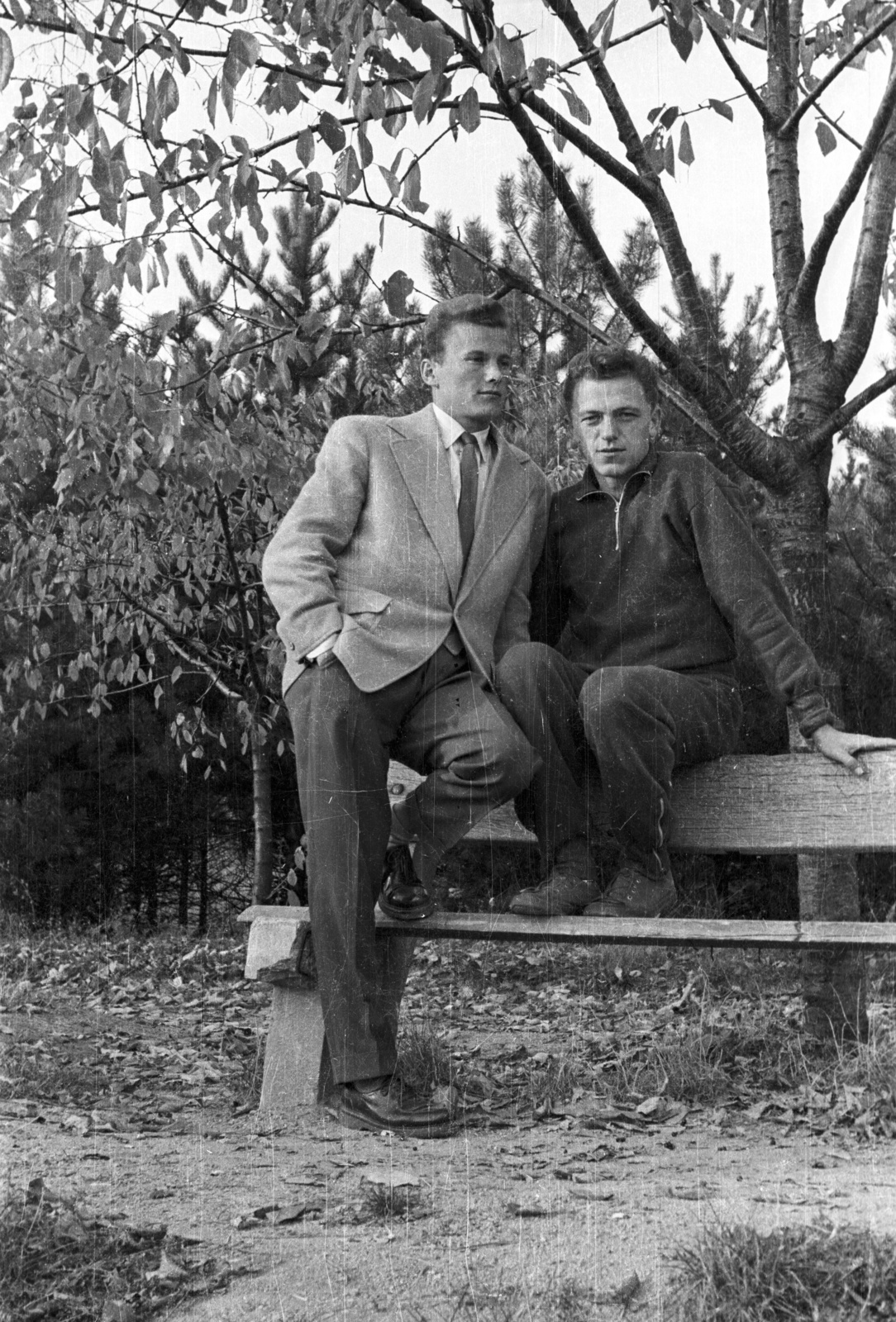 Hungary, Pécs, a felvétel a Pedagógiai Főiskola (később Pécsi Tudományegyetem) botanikus kertjében készült., 1957, Lipovits Károly, men, bench, workout clothes, sitting on backrest of a bench, Fortepan #61775