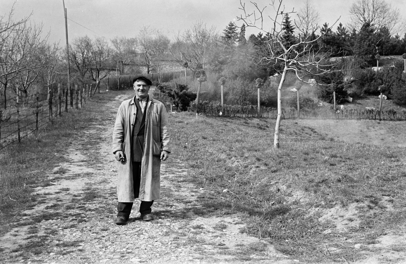 Hungary, Pécs, a felvétel a Pedagógiai Főiskola (később Pécsi Tudományegyetem) botanikus kertjében készült., 1956, Lipovits Károly, overall, Fortepan #61831