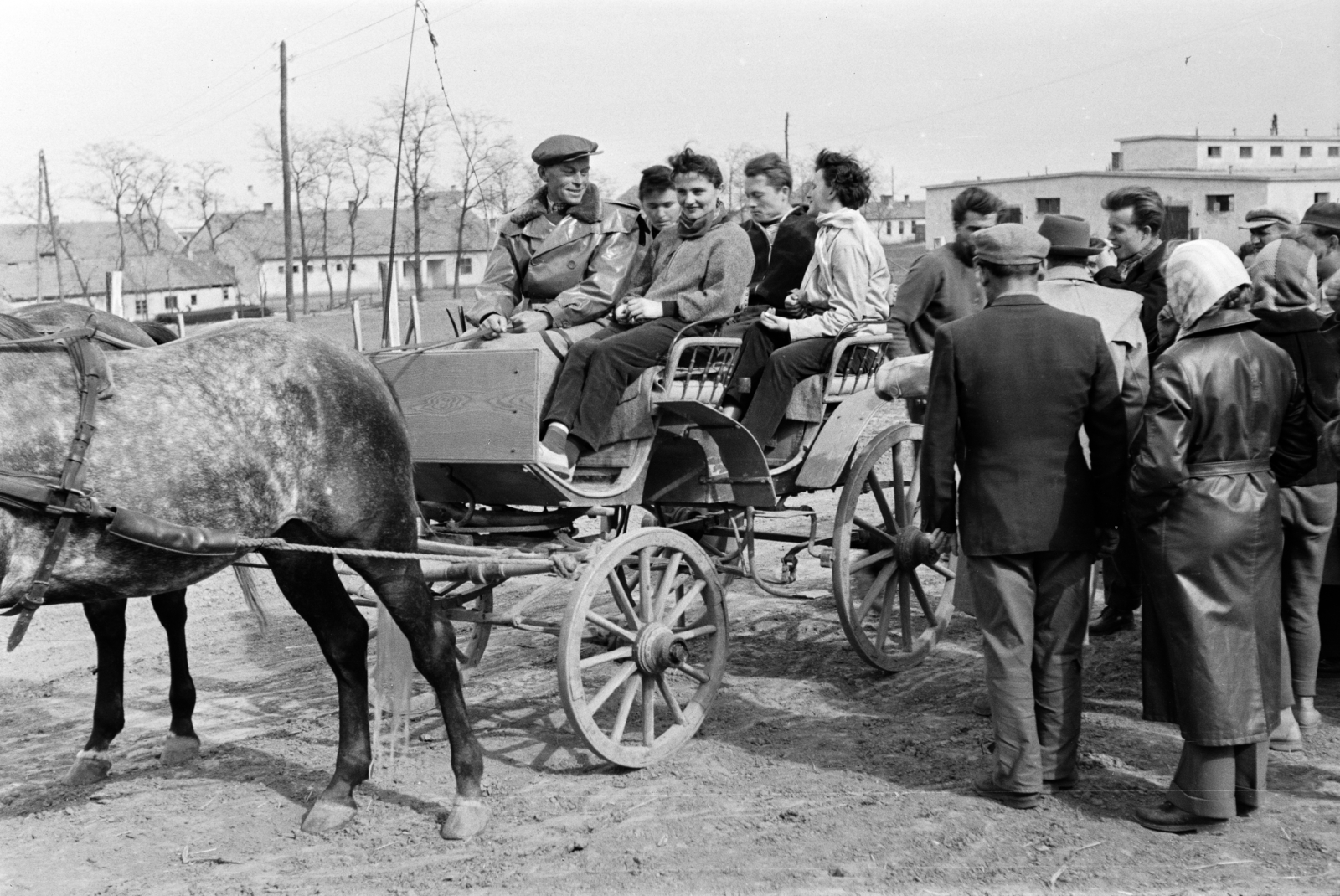 1959, Lipovits Károly, carriage, coach, Fortepan #61866