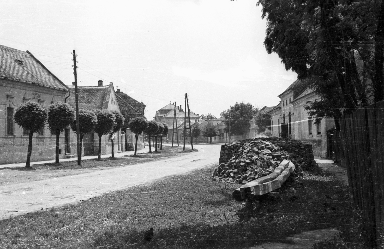 Hungary, Csorna, Béke út, folytatása a Laky Döme utca., 1959, Lipovits Károly, locust tree, brick, Fortepan #61872