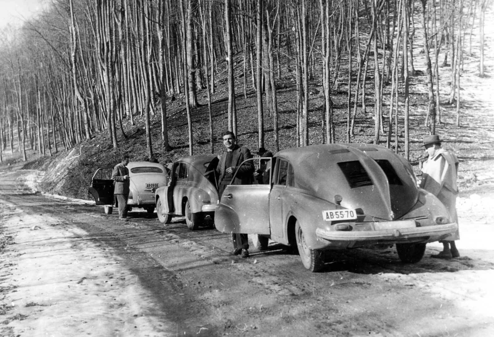 1964, A R, woods, Czechoslovak brand, Tatra-brand, men, relaxation, hillside, automobile, number plate, Tatra T87, Fortepan #62079