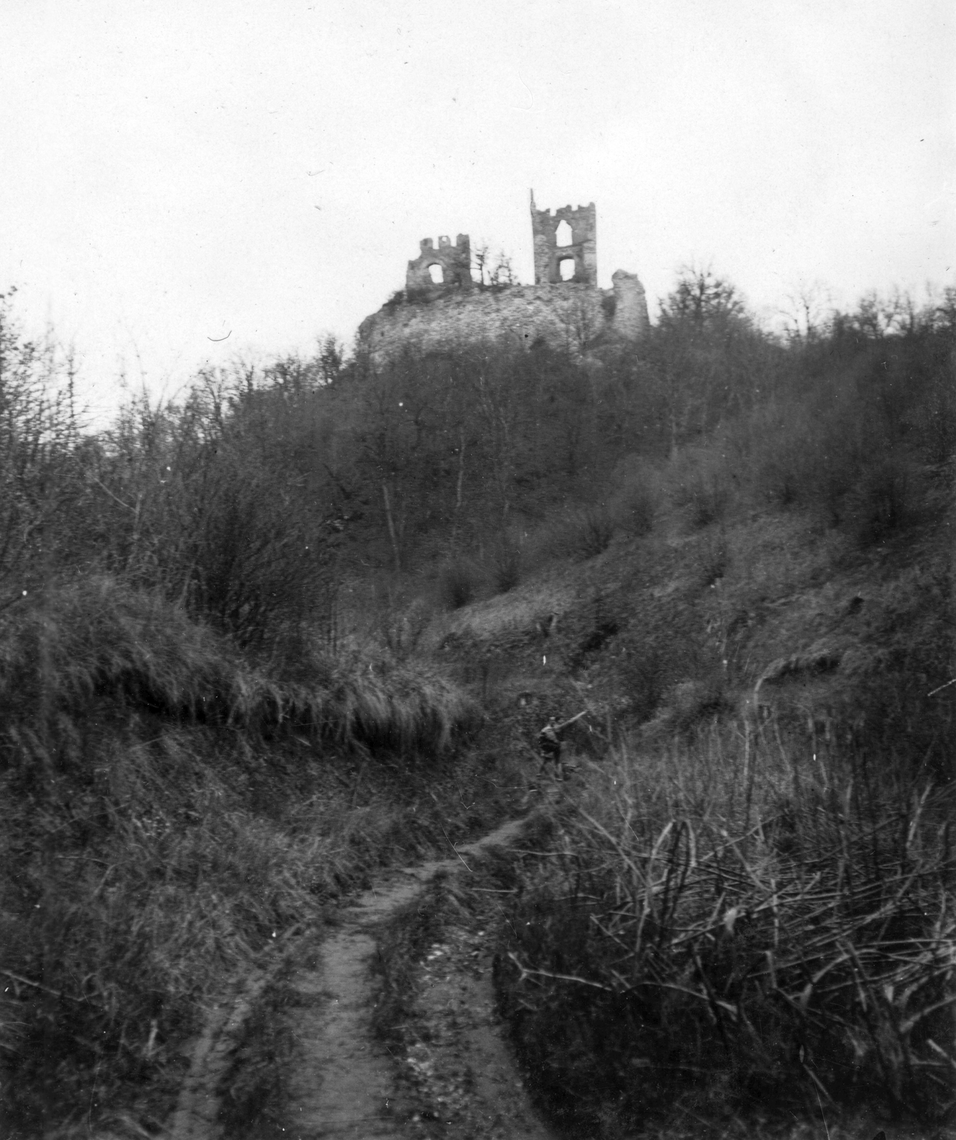 Hungary, Vértessomló, Vitányvár., 1933, A R, ruins, castle ruins, castle, Fortepan #62224