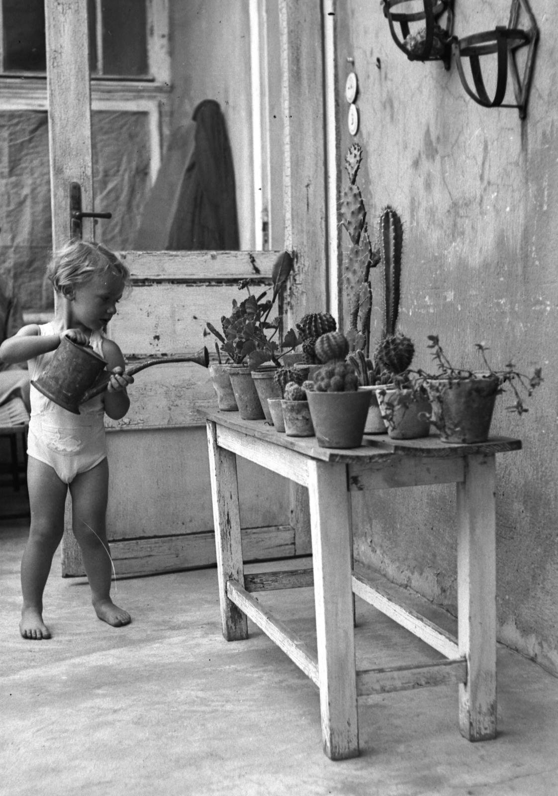 Hungary, Óbuda, Budapest III., Remetehegyi út 21., 1940, A R, summer, cactus, kid, watering can, barefoot, hosing, Budapest, Fortepan #62490