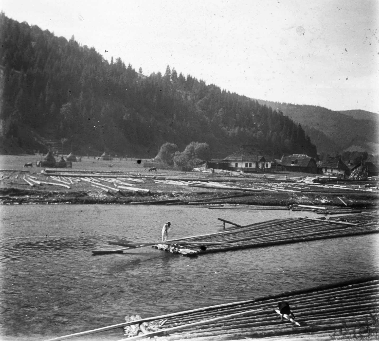 1934, Lajtai László, river, farmhouse, timber rafting, Fortepan #62608