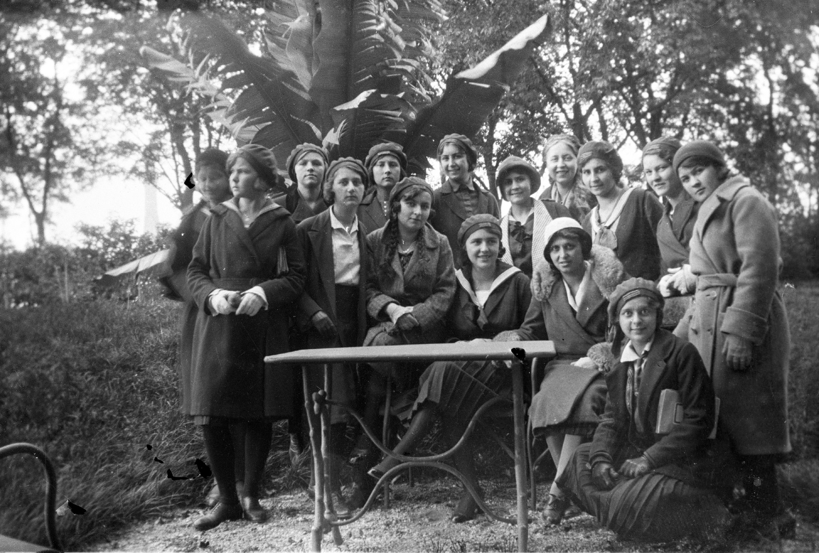 1934, Veszprém Megyei Levéltár/Klauszer, palm tree, Fortepan #62649