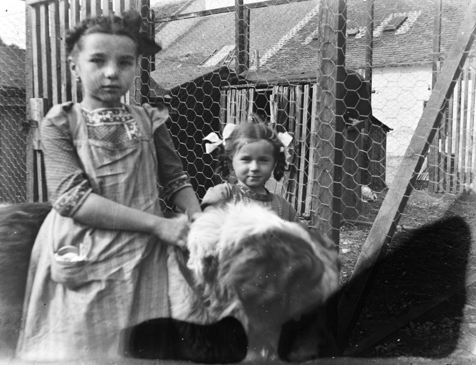 1920, Veszprém Megyei Levéltár/Klauszer, girls, Fortepan #62685