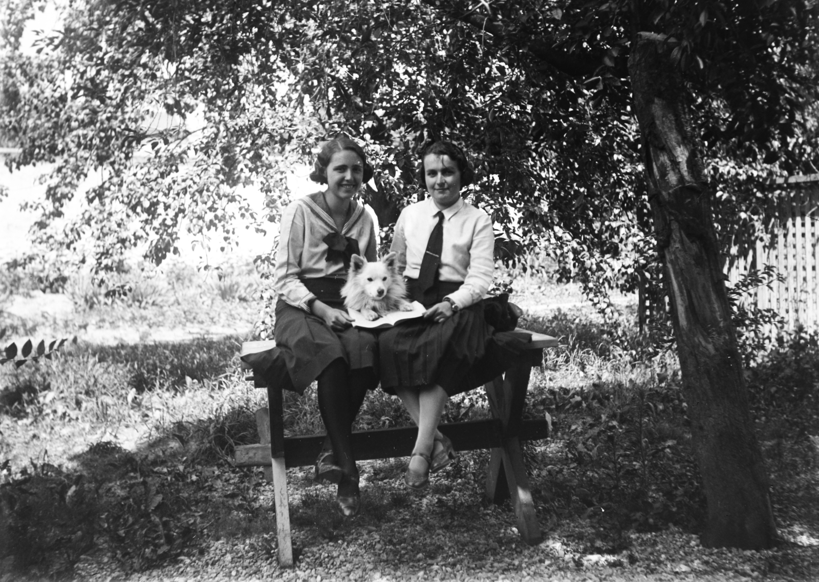 1929, Veszprém Megyei Levéltár/Klauszer, dog, sailor blouse, sitting on a table, Fortepan #62706