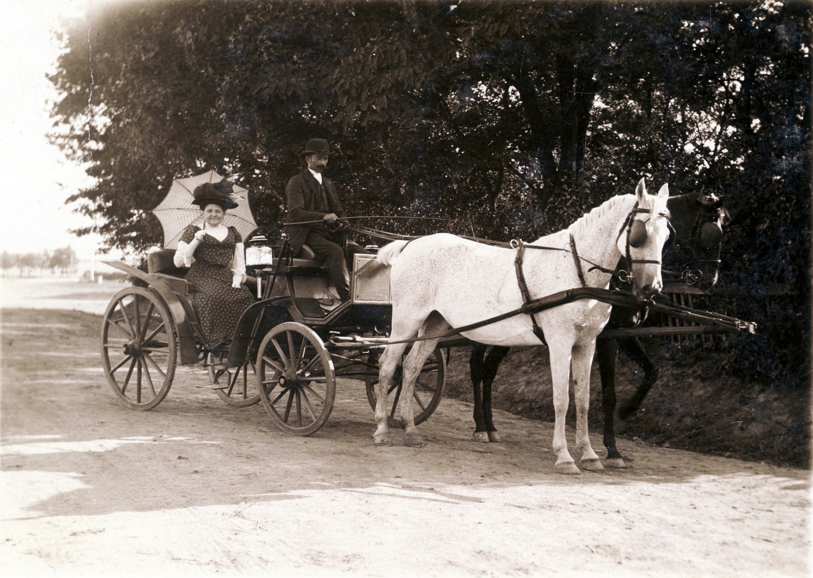 1908, Erdőssy Béla, kalap, ló, hintó, napernyő, fogat, utazás, nő, kocsis, Fortepan #6309