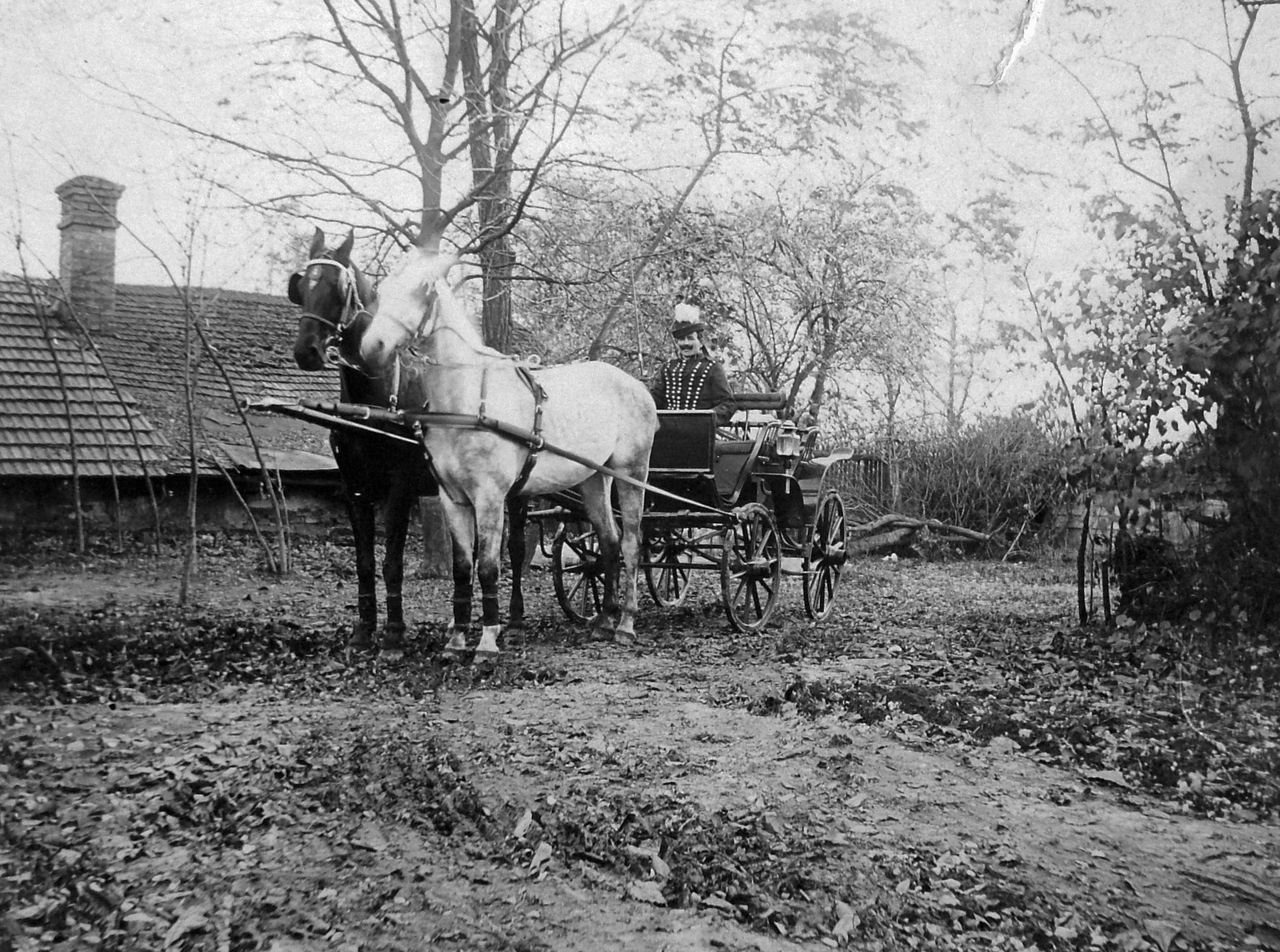 1920, Fortepan, ló, hintó, ősz, fogat, sár, kocsis, Fortepan #6318