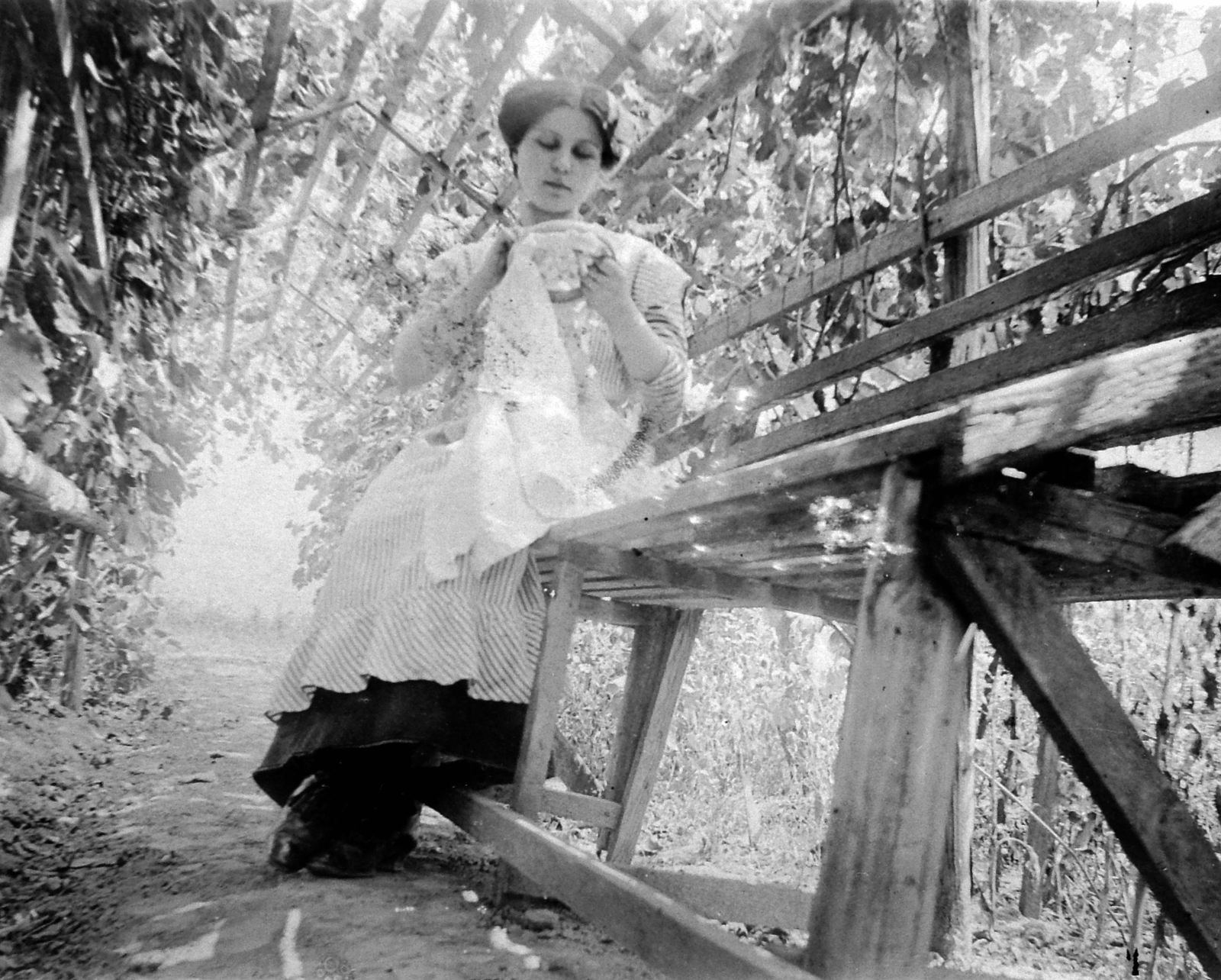 1926, Fortepan, portrait, garden, summer, handcraft, woman, bench, bower, Fortepan #6340